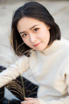 凤凰台上电视剧免费观看